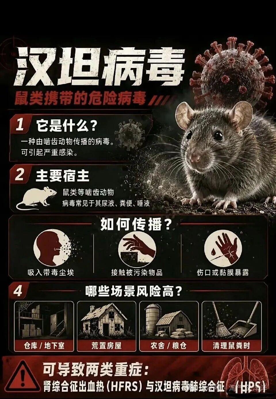 台北出现汉坦病毒致死病例！网友扒出竟早有预言，专家否认人传人